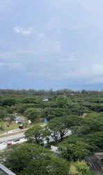the-line-@-tanjong-rhu photo thumbnail #2